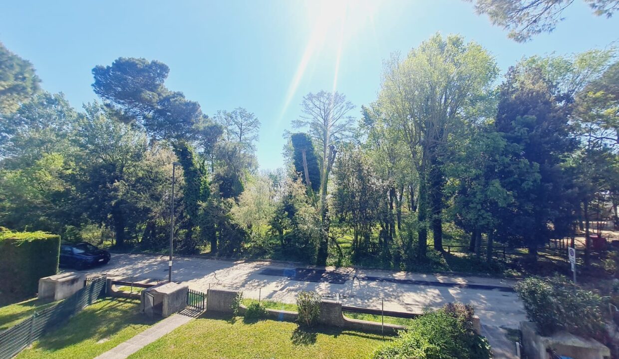 Pineda (14)