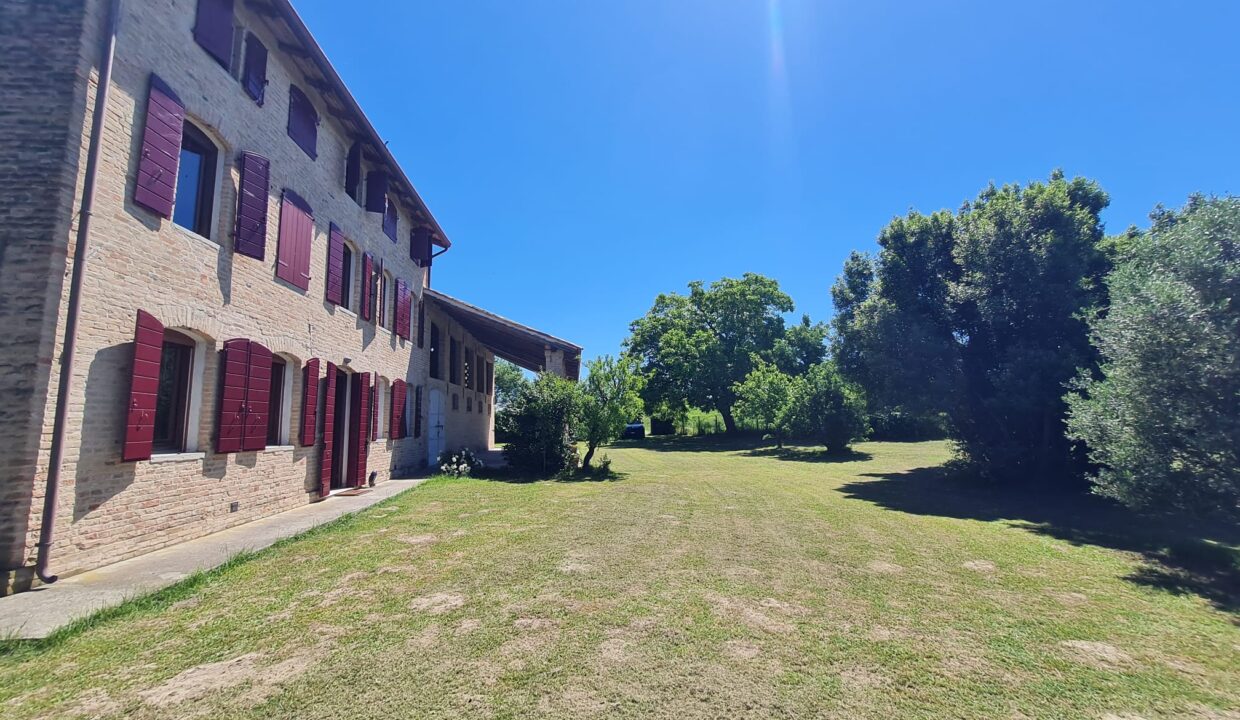 Rustico Lemene (17)