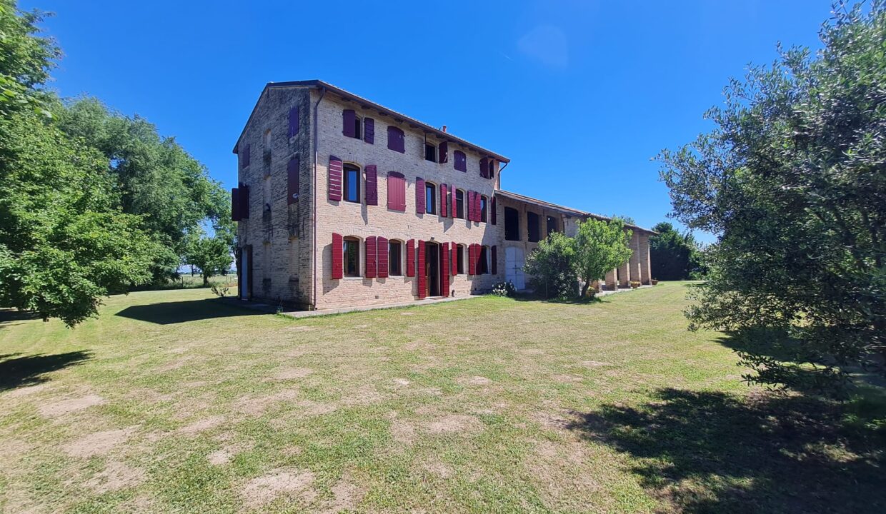 Rustico Lemene (18)