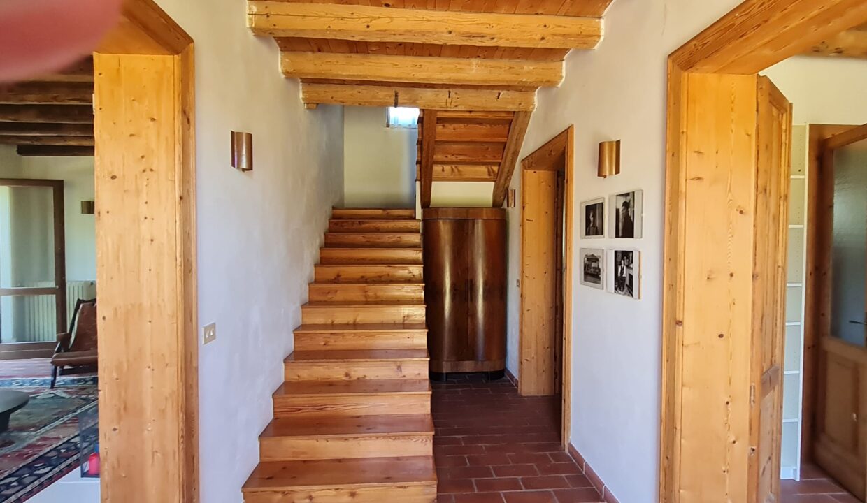 Rustico Lemene (28)