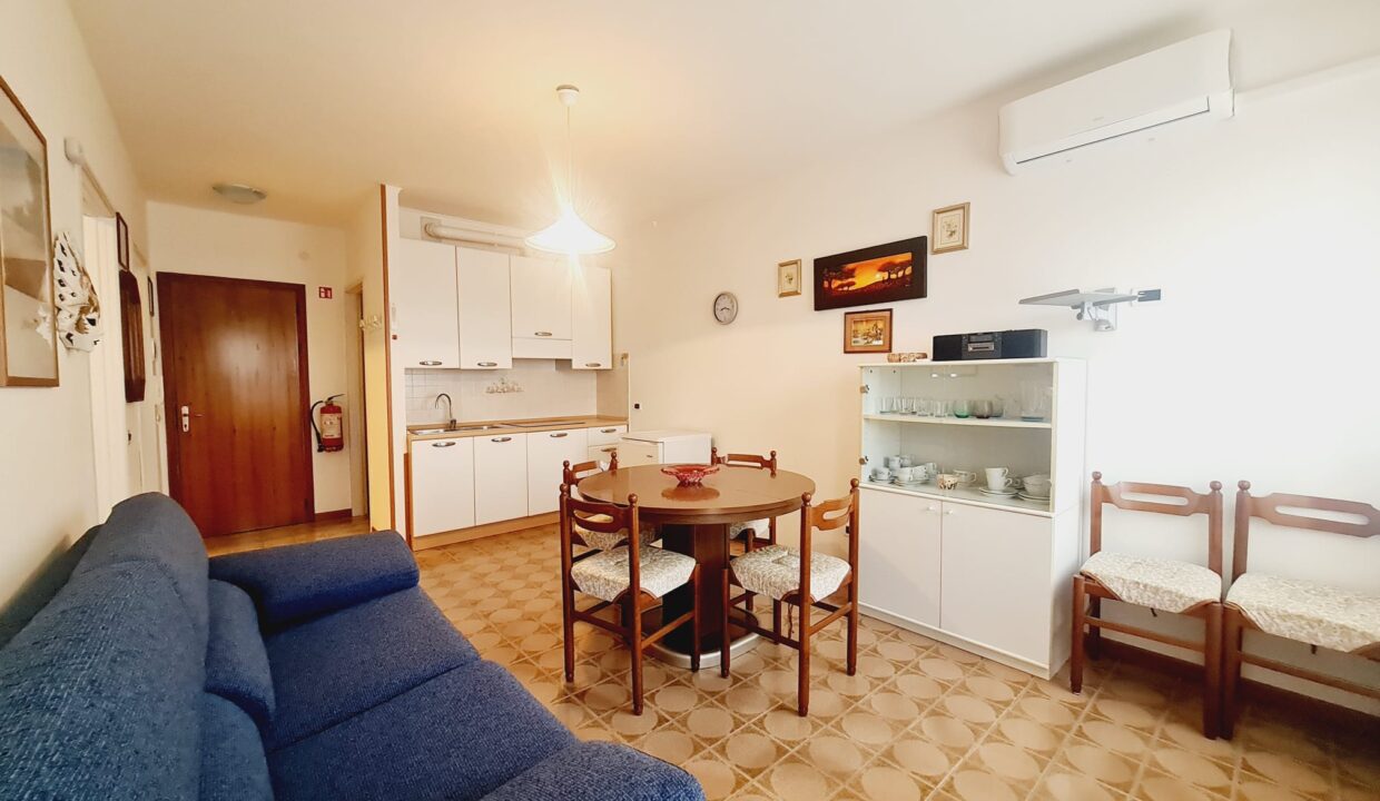 WhatsApp Image 2026-02-14 at 11.22.58