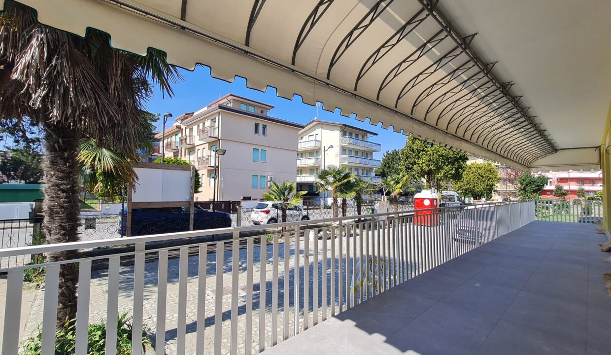 WhatsApp Image 2026-03-20 at 11.11.07