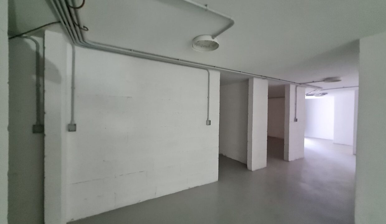 WhatsApp Image 2026-03-20 at 11.11.07 (3)