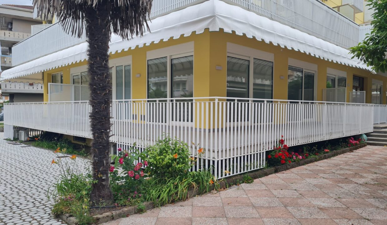 WhatsApp Image 2026-06-03 at 11.08.08